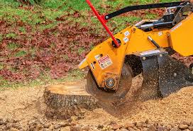 Professional Tree Services in Oak Valley, NJ